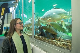 Junge Frau schaut sich am Tauchbecken die Fische an 